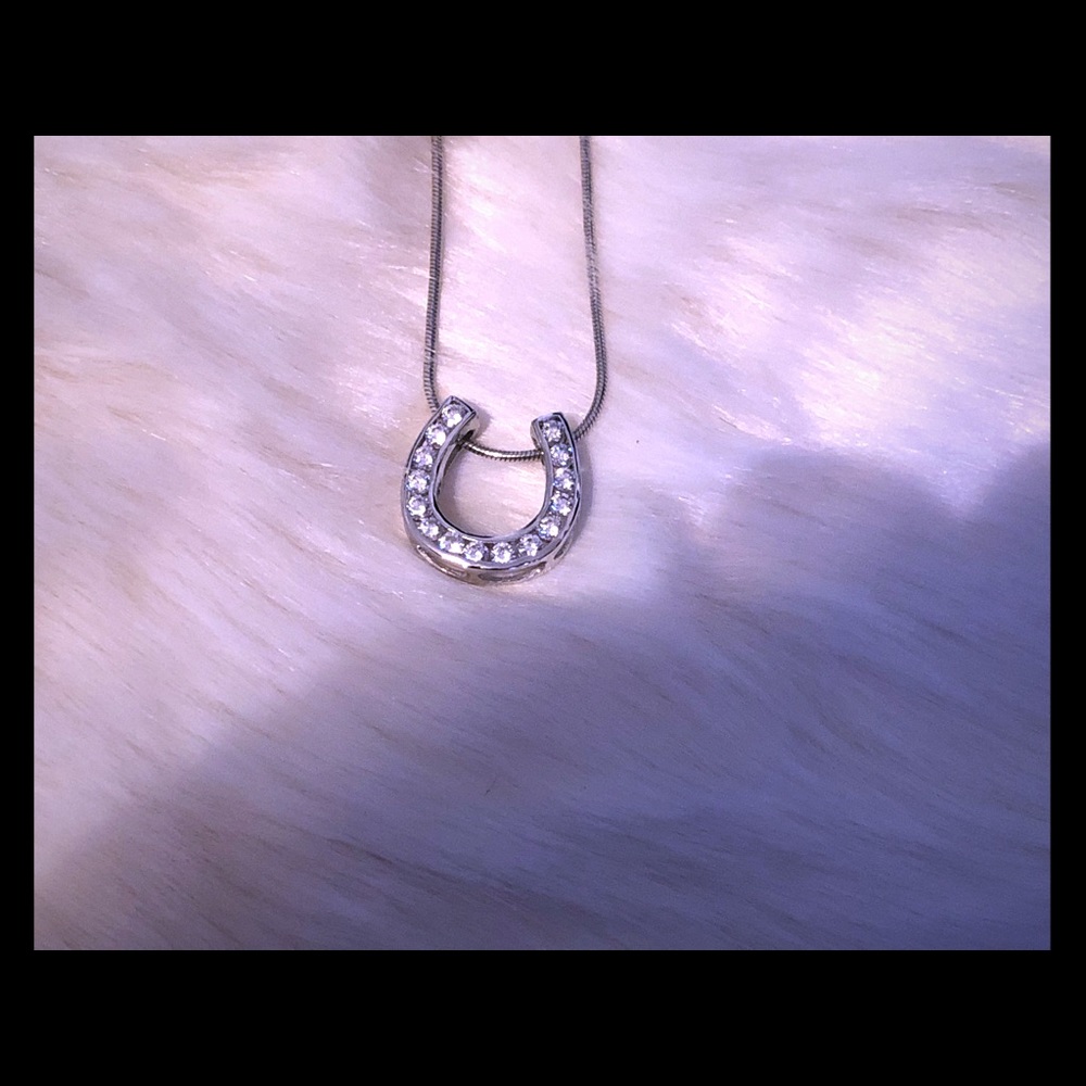 Horseshoe pendant